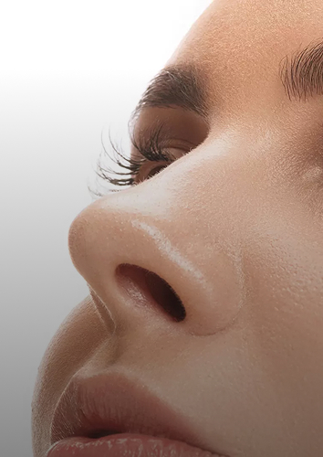 Nariz